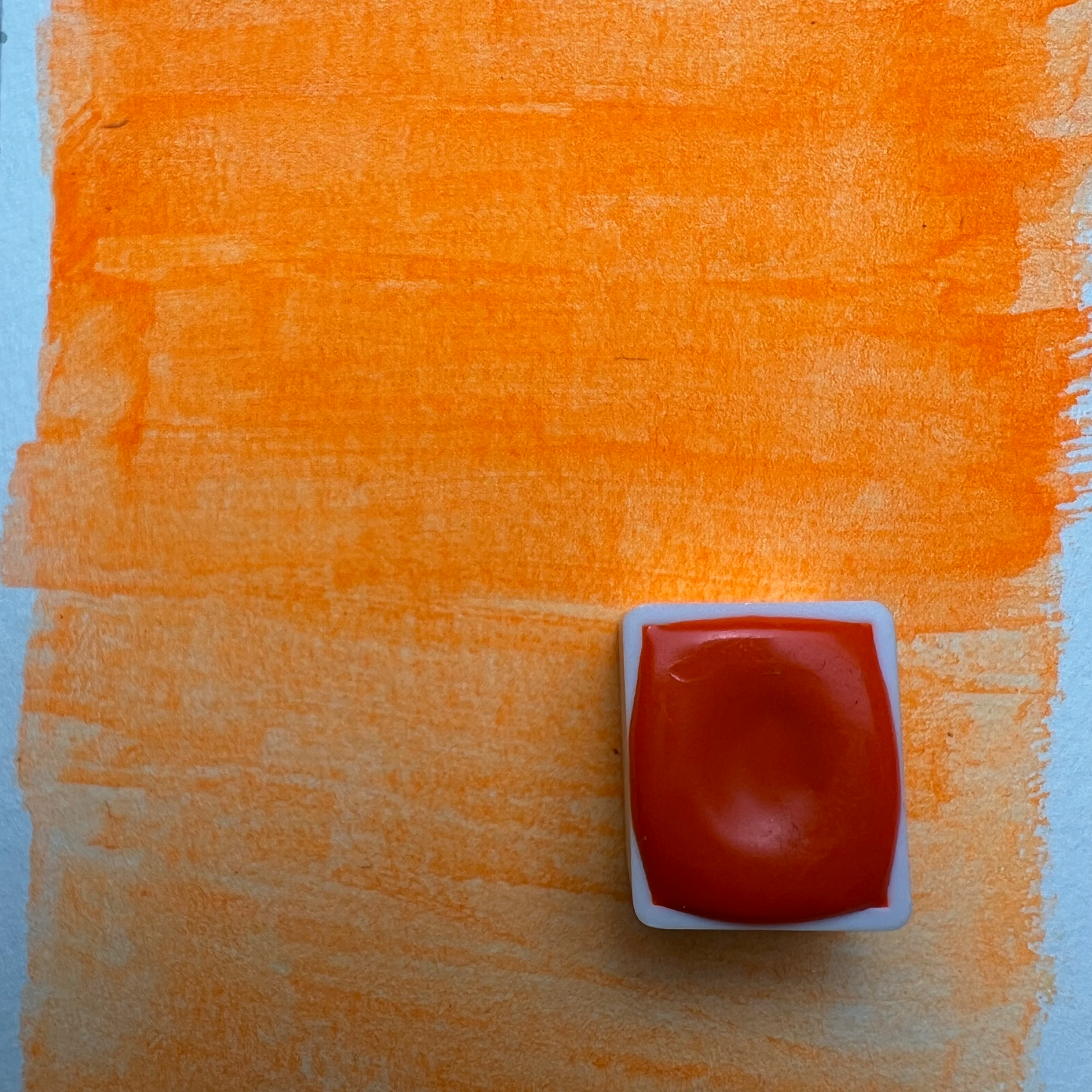 Neon Orange Watercolor